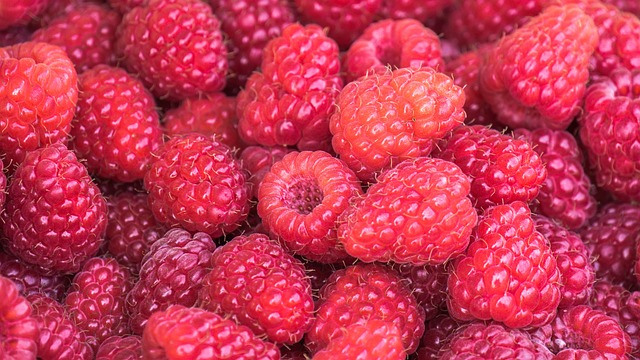 raspberries-g257b8a808_640.jpg